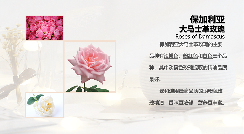 香香呵護(hù)精油 玫瑰3