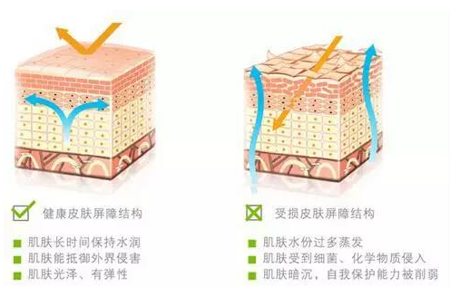 護膚品代加工
