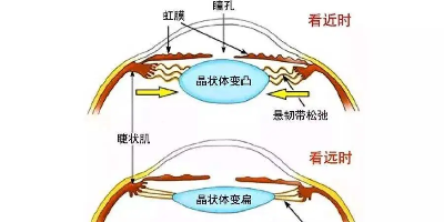 除了精油眼貼，這三種護(hù)眼方法也同樣好用！